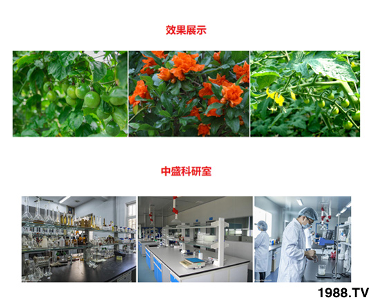 1kg含氨基酸水溶肥 田地精華 農(nóng)富天下4