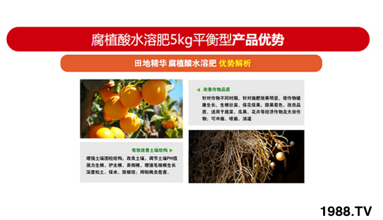 ƽ�����L�ͺ���ֲ��ˮ�ܷ� ��ؾ��A �r(n��ng)������3