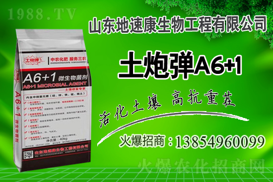    合作關(guān)系再升華，山東地速康與1988.TV開啟新篇章！