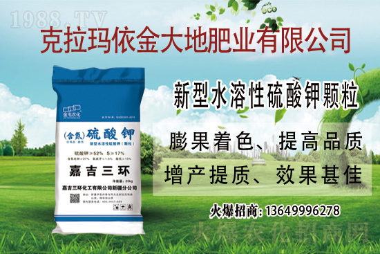 鉀肥市場保持堅(jiān)挺走勢！今日鉀肥價(jià)格走勢及交易日評