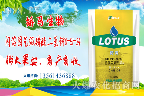 農(nóng)作物受洪澇災(zāi)后的損害及補救措施