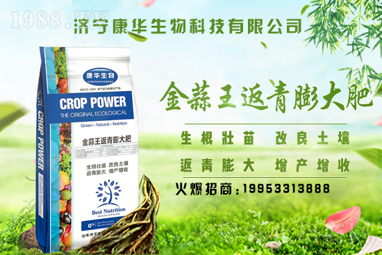 2021年7月26日國內(nèi)大蒜價格走勢