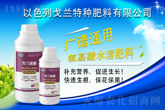 以色列戈蘭再續(xù)1988.TV，共謀合作新發(fā)展！