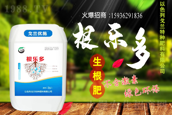 以色列戈蘭再續(xù)1988.TV，共謀合作新發(fā)展！