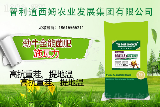 智利道西姆再簽1988.TV，開(kāi)啟網(wǎng)絡(luò)招商新模式！