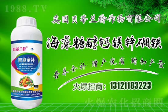 英國貝蒂蘭特再簽1988.TV,共謀合作促雙贏!