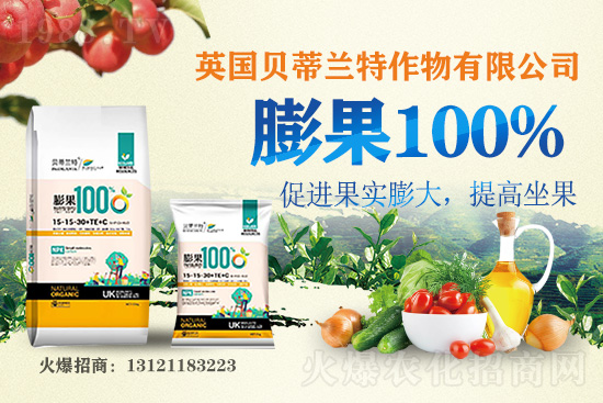 英國貝蒂蘭特再簽1988.TV,共謀合作促雙贏!