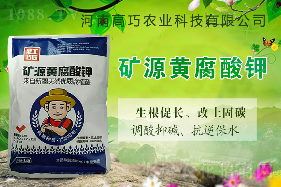  ϲ��1988.TVϲӭ�������������r�I(y��)���݁��u��