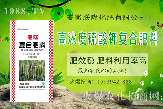 合作關(guān)系再升華!聯(lián)隆化肥續(xù)約1988.TV,共謀合作新發(fā)展!