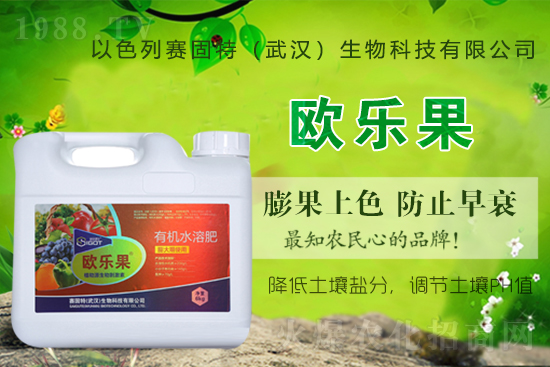 以色列賽固特再度攜手1988.TV,攜手共創(chuàng)新戰(zhàn)績!再創(chuàng)輝煌!