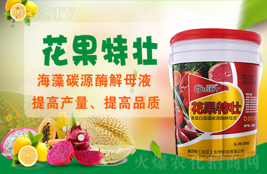 以色列賽固特再度攜手1988.TV,攜手共創(chuàng)新戰(zhàn)績!再創(chuàng)輝煌!