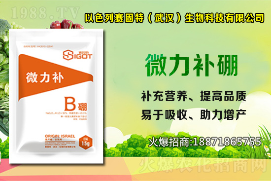 以色列賽固特再度攜手1988.TV,攜手共創(chuàng)新戰(zhàn)績!再創(chuàng)輝煌!
