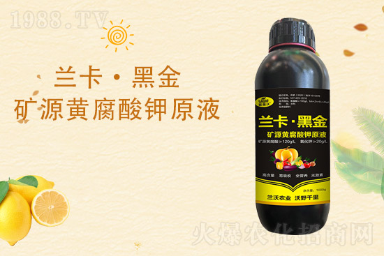 柑橘黃葉是什么原因造成的？柑橘黃葉的解決措施