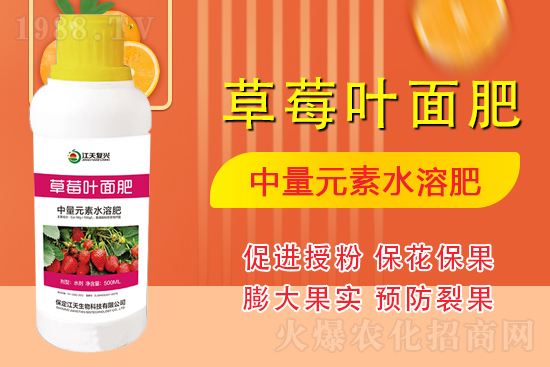 合作發(fā)展，共創(chuàng)未來，江天生物簽約1988.TV，共創(chuàng)新輝煌！