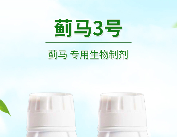 �E�R�����������Ƅ�-�E��3̖-�����S����_01