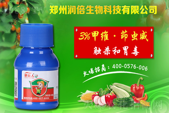 危害盛期的桃蚜如何防治？桃樹蚜蟲的危害與防治！