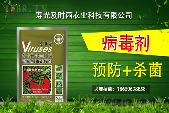 壽光及時雨再牽手火爆農(nóng)化網(wǎng),為農(nóng)資行業(yè)注入新動力!