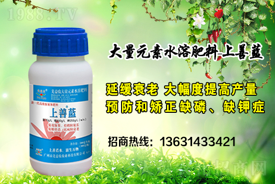 廣州市先益農(nóng)再度攜手1988.TV，攜手共創(chuàng)新戰(zhàn)績(jī)！