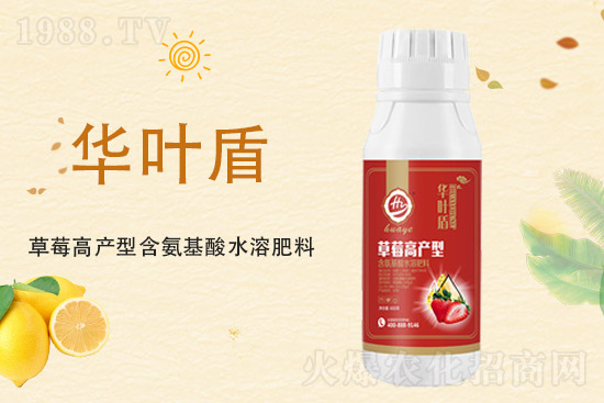 氯化鉀價(jià)格上漲，2021年9月10日鉀肥價(jià)格行情