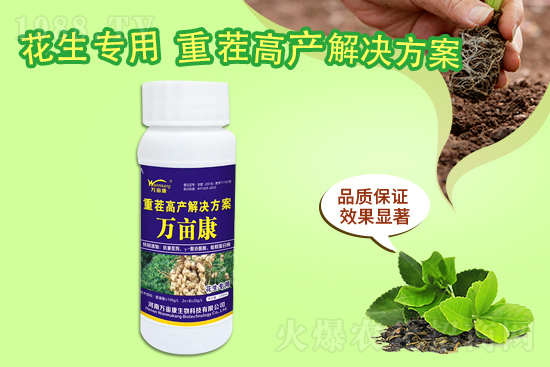 二銨暫穩(wěn)為主，20219月10日磷銨價(jià)格行情報(bào)價(jià)