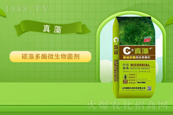 氯化鉀價(jià)格平穩(wěn)，2021年9月2日國內(nèi)鉀肥價(jià)格走勢