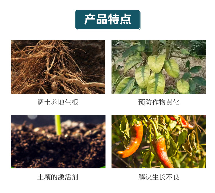 青島矯馬生物技術(shù)有限公司畫冊(cè)_03