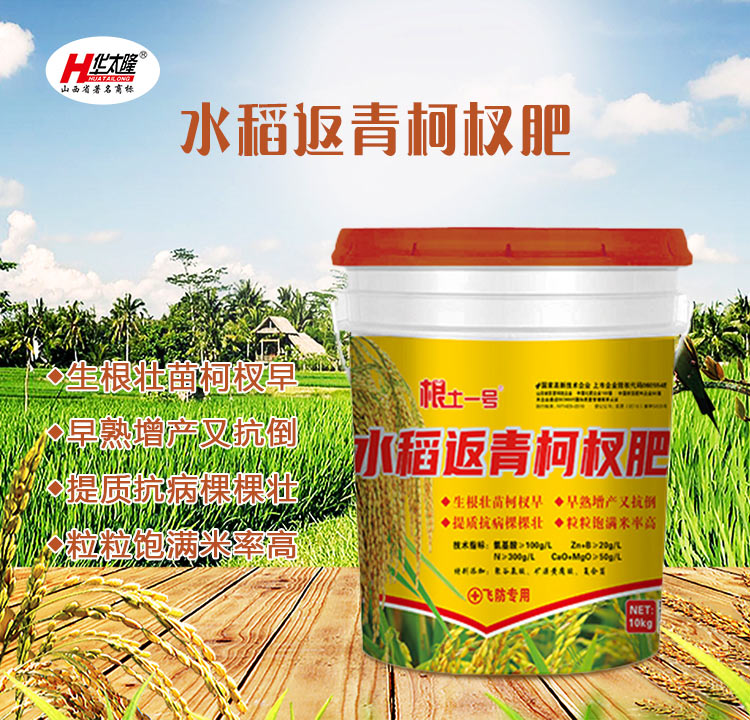 C-_Users_1988_Desktop_ɽ�����r(n��ng)�����＼�g(sh��)�ɷ����޹�˾_01