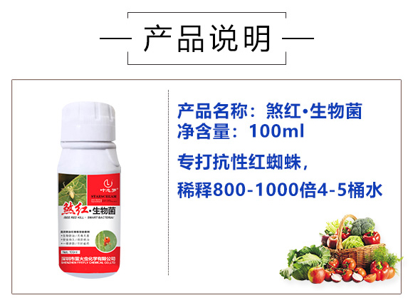 煞紅·生物菌-螢火蟲(chóng)_03