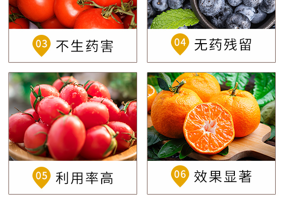 青蟲·蛾溶劑-靚麗多-螢火蟲_05