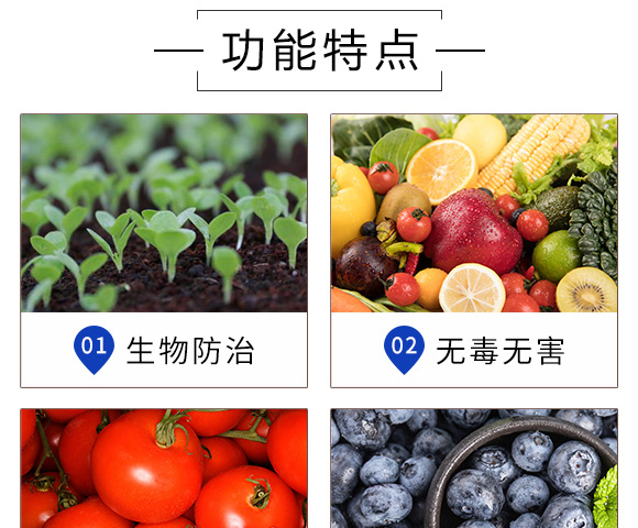 煞紅·生物菌-螢火蟲(chóng)_04