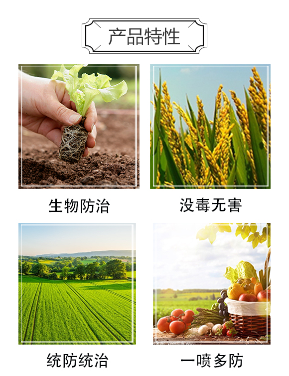 落地紅-強農(nóng)_03