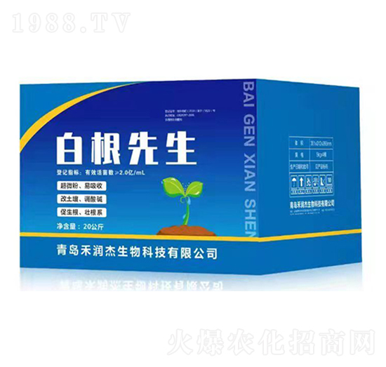 �׸�����