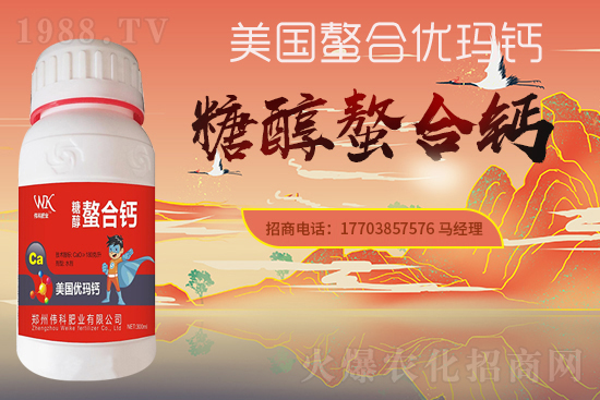 �����ƷʘI(y��)��ףȫ���������µ�һ���������������q�qƽ����