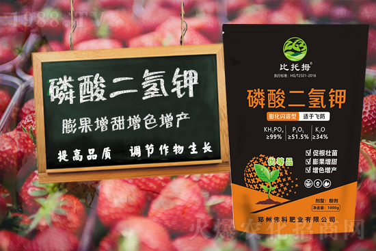 �����ƷʘI(y��)��ףȫ���������µ�һ���������������q�qƽ����