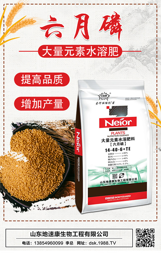 �����ٿ����ף�������w������ǰ�����\���������M��