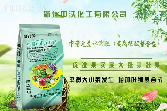 ���½����ֻ�����ף�V�����т�����옷���Ҹ�������