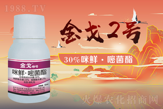 ��ِ�Z������ף�V��(j��ng)�N(xi��o)�����ѻ�����\(y��n)����ס��ؔ(c��i)�\(y��n)�L�L��(l��i)��