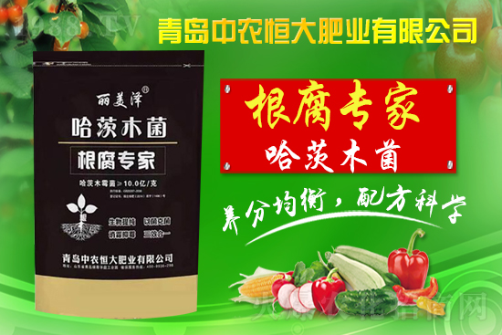 �����r(n��ng)���ףȫ����������옷������ʮ����ؔ(c��i)Դ�L�L��