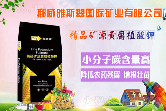 ��Ų����˹�䡿ף�V��(j��ng)�N(xi��o)��2022�껢������H�Қg��(l��)������(ji��)�옷(l��)��