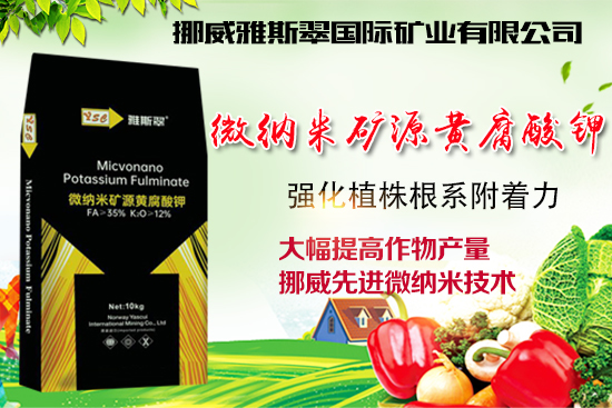 ��Ų����˹�䡿ף�V��(j��ng)�N(xi��o)��2022�껢������H�Қg��(l��)������(ji��)�옷(l��)��