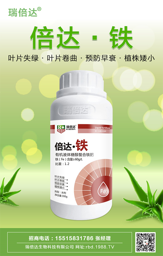 �����_��ף���µ�һ��һ����������������d¡��ؔԴ�V�M��