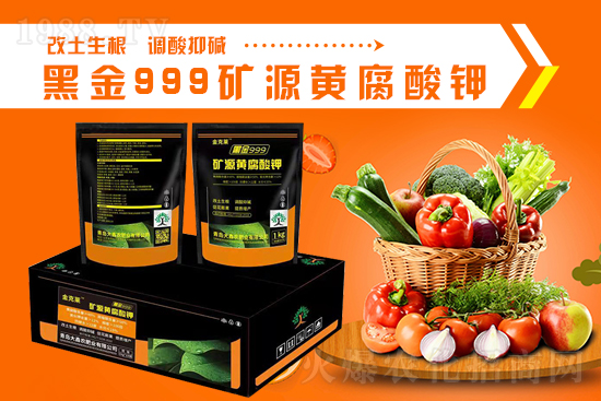     �����u�����r(n��ng)��ף����µ�һ����Ը�c���ٓP���������_��(chu��ng)�I(y��)���G�����