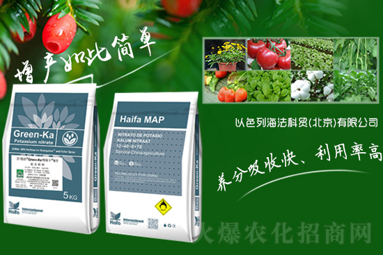 ����ɫ�к������Q(m��o)��ף�r(n��ng)�Y��(j��ng)�N(xi��o)�����т�2022����옷(l��)����ϲ�l(f��)ؔ(c��i)��