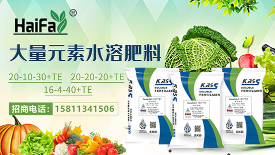 ����ɫ�к������Q(m��o)��ף�r(n��ng)�Y��(j��ng)�N(xi��o)�����т�2022����옷(l��)����ϲ�l(f��)ؔ(c��i)��