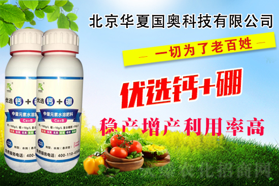 ���A�ć�(gu��)�W��ף����µ�һ��ؔ(c��i)���\�࣬�I(y��)�\�������w�\����