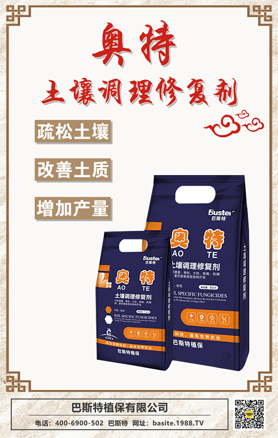 ����˹�ء�ף�V����������옷���f�����⣡2022���\�B�B��