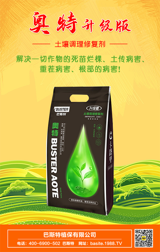 ����˹�ء�ף�V����������옷���f��������2022���\�B�B��