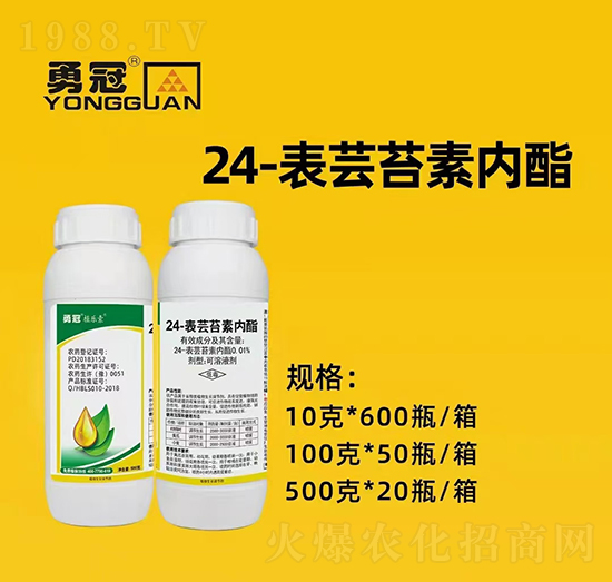 �������¹چ̵ϡ�ȫ�w�T����ף��������2022���I(y��)�v�w����������������