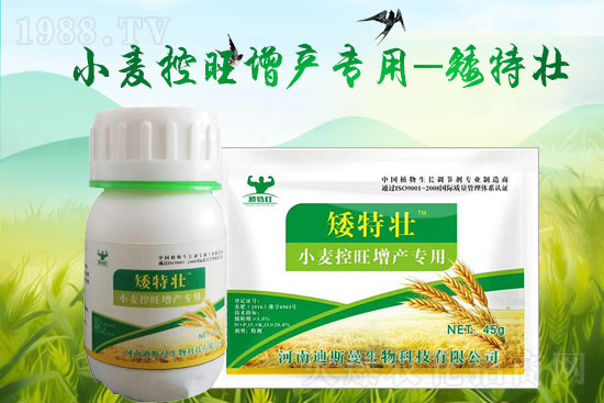 【迪斯曼】給大家拜年啦!祝大家2022年虎年大吉,闔家歡樂,春節(jié)快樂!