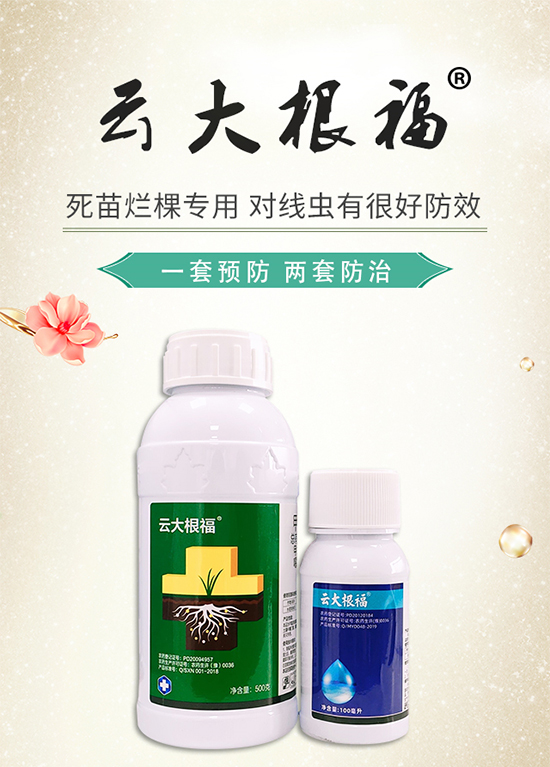 ����̖(h��o)�r(n��ng)�I(y��)��ף������옷(l��)�����w�������f(w��n)���������I(y��)�г���